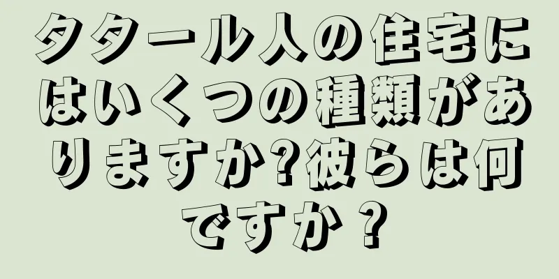 タタール人の住宅にはいくつの種類がありますか?彼らは何ですか？