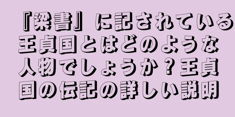 『梁書』に記されている王貞国とはどのような人物でしょうか？王貞国の伝記の詳しい説明