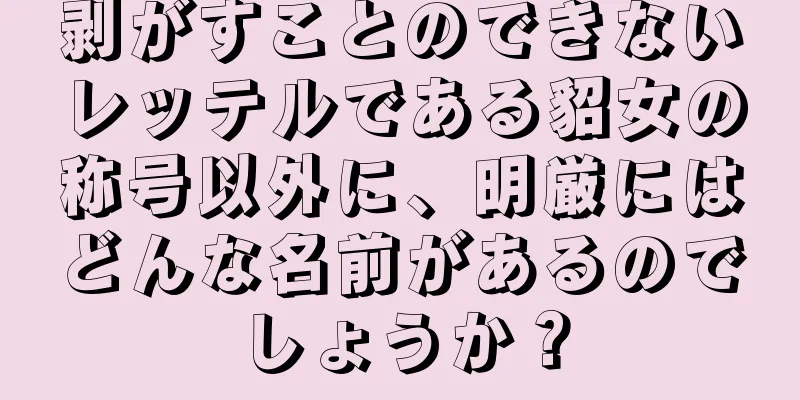 剥がすことのできないレッテルである貂女の称号以外に、明厳にはどんな名前があるのでしょうか？