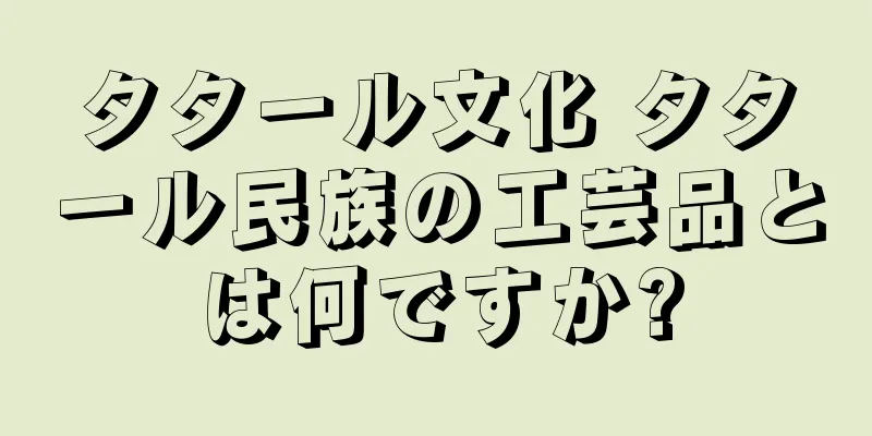 タタール文化 タタール民族の工芸品とは何ですか?