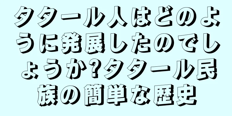 タタール人はどのように発展したのでしょうか?タタール民族の簡単な歴史