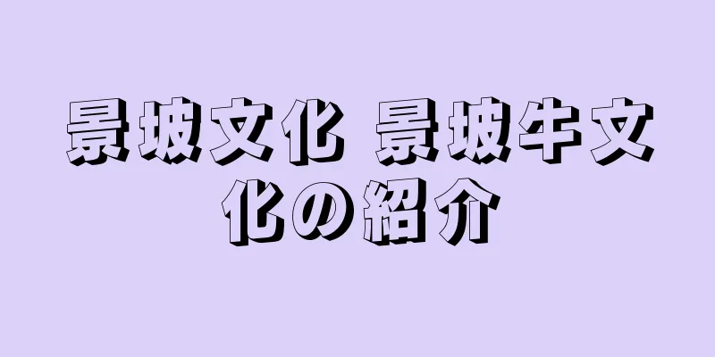 景坡文化 景坡牛文化の紹介