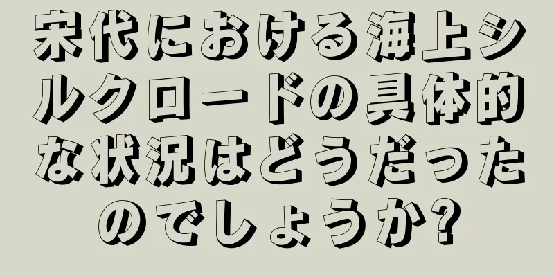 宋代における海上シルクロードの具体的な状況はどうだったのでしょうか?
