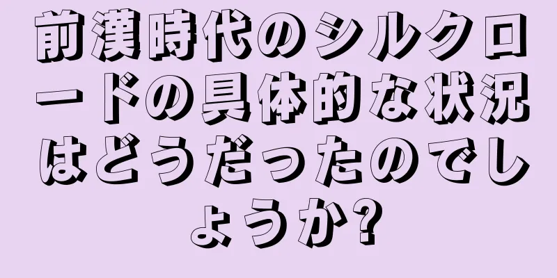 前漢時代のシルクロードの具体的な状況はどうだったのでしょうか?