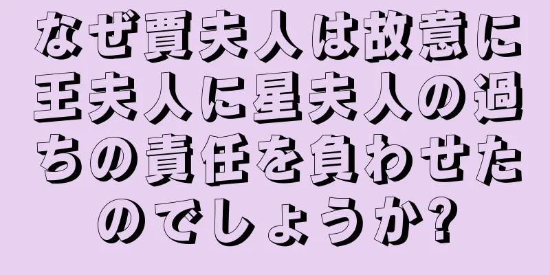 なぜ賈夫人は故意に王夫人に星夫人の過ちの責任を負わせたのでしょうか?