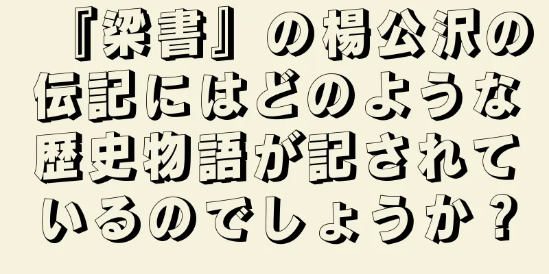 『梁書』の楊公沢の伝記にはどのような歴史物語が記されているのでしょうか？
