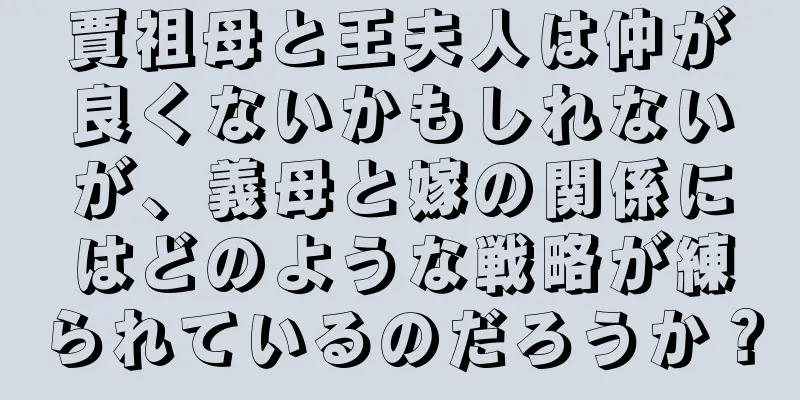 賈祖母と王夫人は仲が良くないかもしれないが、義母と嫁の関係にはどのような戦略が練られているのだろうか？
