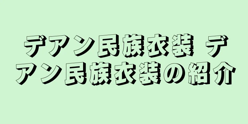 デアン民族衣装 デアン民族衣装の紹介