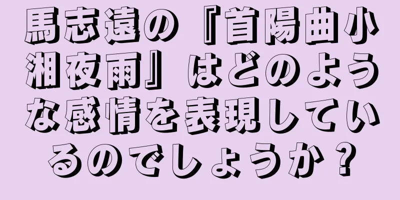 馬志遠の『首陽曲小湘夜雨』はどのような感情を表現しているのでしょうか？