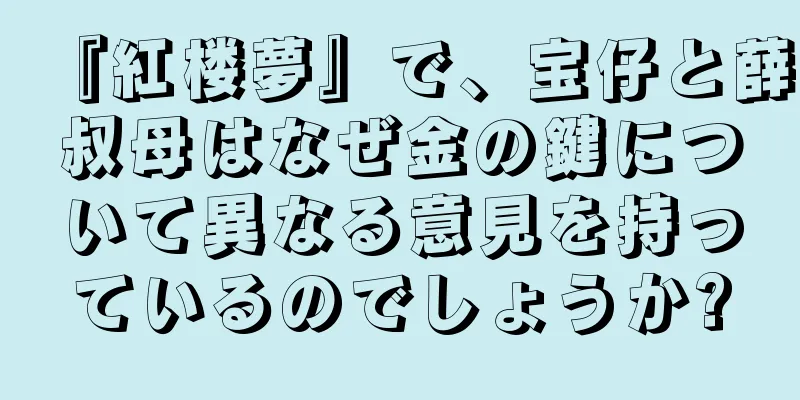 『紅楼夢』で、宝仔と薛叔母はなぜ金の鍵について異なる意見を持っているのでしょうか?