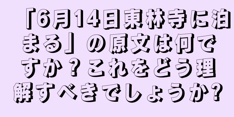 「6月14日東林寺に泊まる」の原文は何ですか？これをどう理解すべきでしょうか?