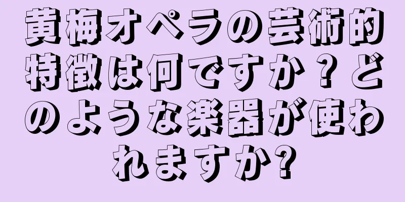 黄梅オペラの芸術的特徴は何ですか？どのような楽器が使われますか?