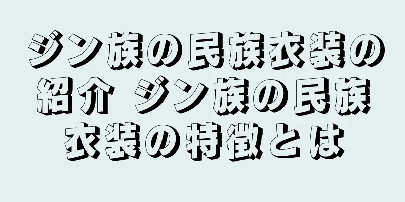 ジン族の民族衣装の紹介 ジン族の民族衣装の特徴とは