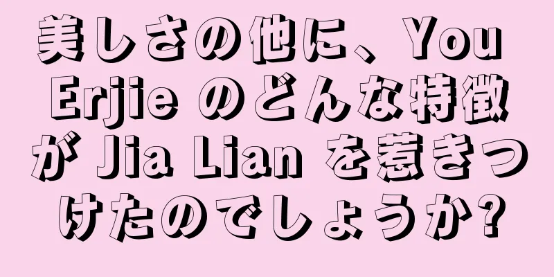 美しさの他に、You Erjie のどんな特徴が Jia Lian を惹きつけたのでしょうか?