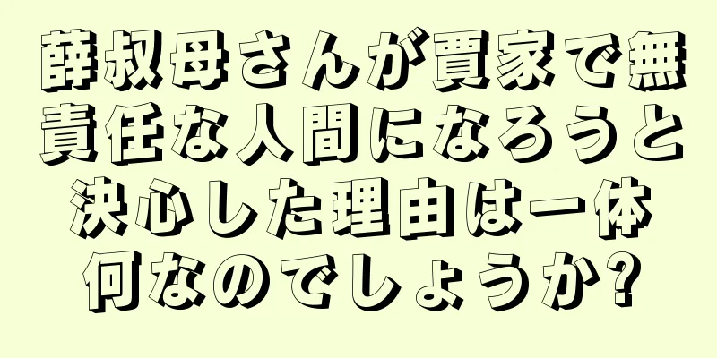 薛叔母さんが賈家で無責任な人間になろうと決心した理由は一体何なのでしょうか?