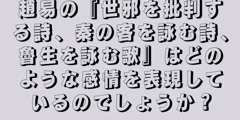 趙易の『世邪を批判する詩、秦の客を詠む詩、魯生を詠む歌』はどのような感情を表現しているのでしょうか？