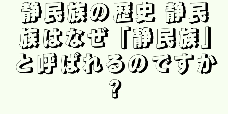 静民族の歴史 静民族はなぜ「静民族」と呼ばれるのですか?