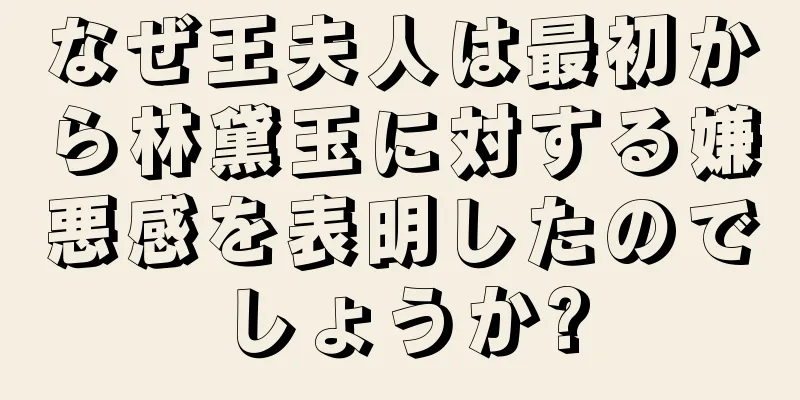 なぜ王夫人は最初から林黛玉に対する嫌悪感を表明したのでしょうか?