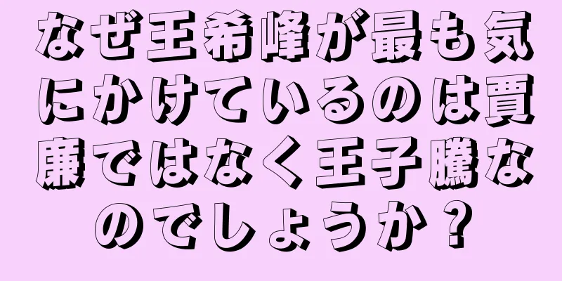 なぜ王希峰が最も気にかけているのは賈廉ではなく王子騰なのでしょうか？
