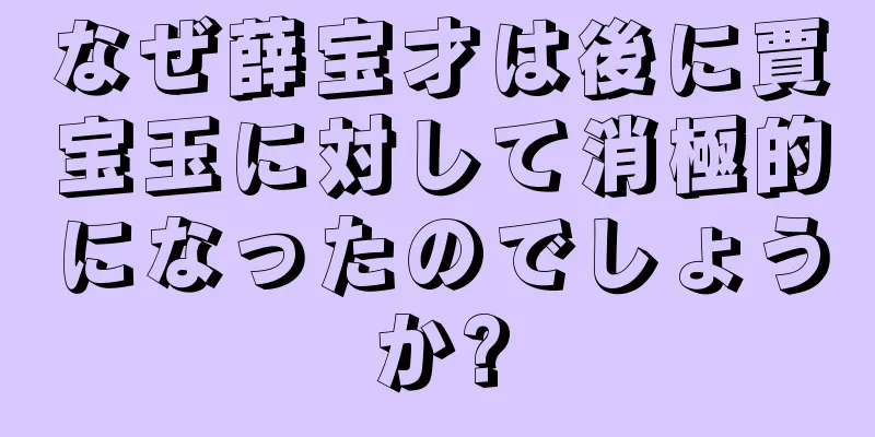 なぜ薛宝才は後に賈宝玉に対して消極的になったのでしょうか?
