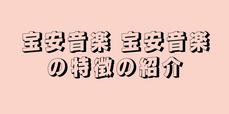 宝安音楽 宝安音楽の特徴の紹介