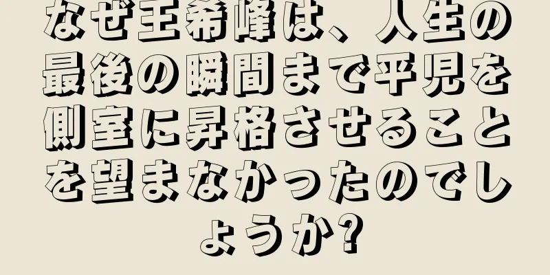 なぜ王希峰は、人生の最後の瞬間まで平児を側室に昇格させることを望まなかったのでしょうか?