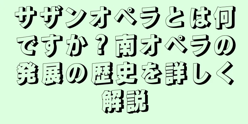 サザンオペラとは何ですか？南オペラの発展の歴史を詳しく解説