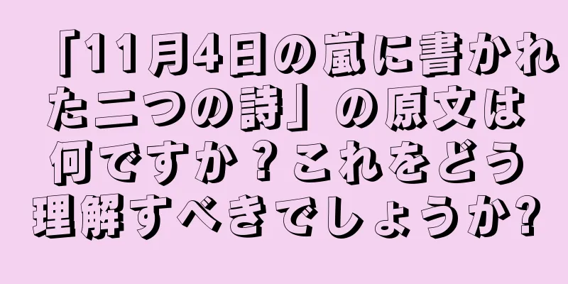 「11月4日の嵐に書かれた二つの詩」の原文は何ですか？これをどう理解すべきでしょうか?