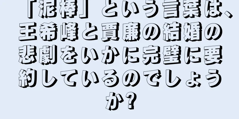 「泥棒」という言葉は、王希峰と賈廉の結婚の悲劇をいかに完璧に要約しているのでしょうか?