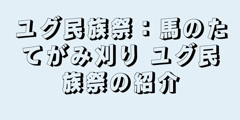 ユグ民族祭：馬のたてがみ刈り ユグ民族祭の紹介