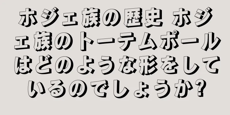 ホジェ族の歴史 ホジェ族のトーテムポールはどのような形をしているのでしょうか?