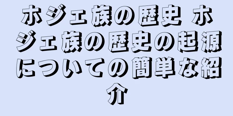 ホジェ族の歴史 ホジェ族の歴史の起源についての簡単な紹介