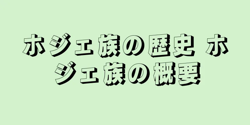 ホジェ族の歴史 ホジェ族の概要
