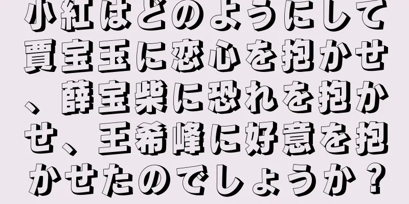 小紅はどのようにして賈宝玉に恋心を抱かせ、薛宝柴に恐れを抱かせ、王希峰に好意を抱かせたのでしょうか？