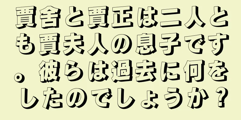 賈舍と賈正は二人とも賈夫人の息子です。彼らは過去に何をしたのでしょうか？