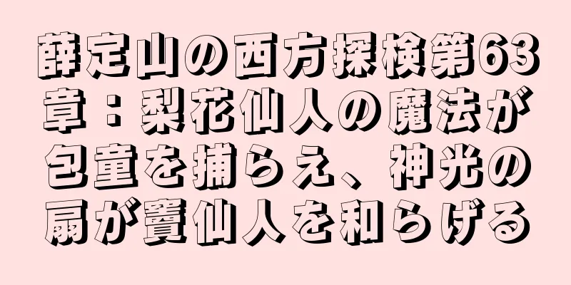 薛定山の西方探検第63章：梨花仙人の魔法が包童を捕らえ、神光の扇が竇仙人を和らげる