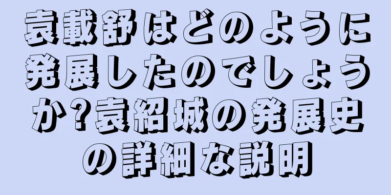 袁載舒はどのように発展したのでしょうか?袁紹城の発展史の詳細な説明