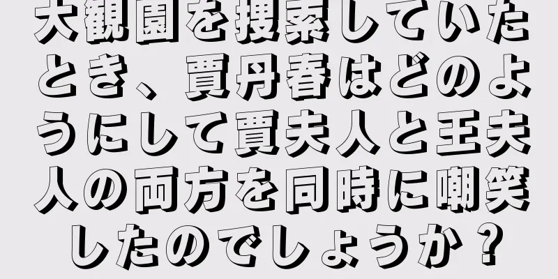 大観園を捜索していたとき、賈丹春はどのようにして賈夫人と王夫人の両方を同時に嘲笑したのでしょうか？