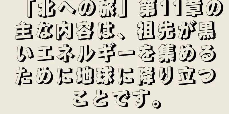「北への旅」第11章の主な内容は、祖先が黒いエネルギーを集めるために地球に降り立つことです。