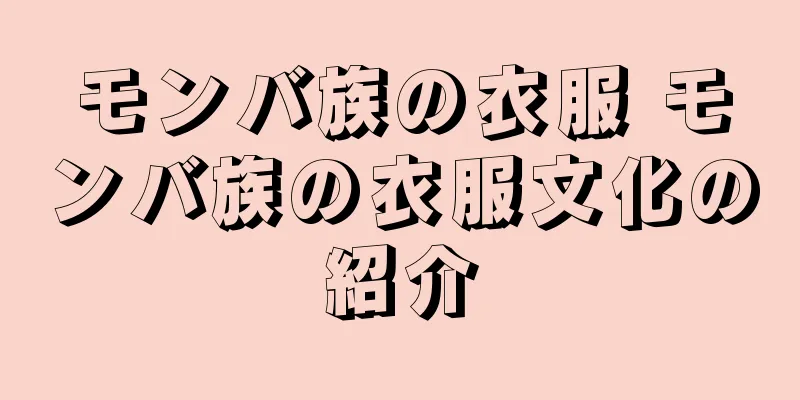 モンバ族の衣服 モンバ族の衣服文化の紹介