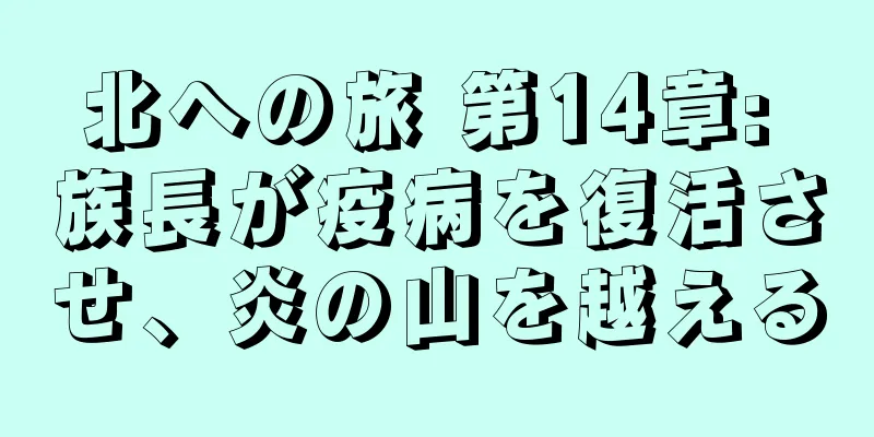 北への旅 第14章: 族長が疫病を復活させ、炎の山を越える