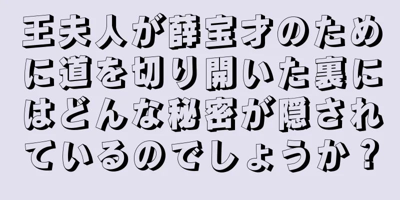王夫人が薛宝才のために道を切り開いた裏にはどんな秘密が隠されているのでしょうか？