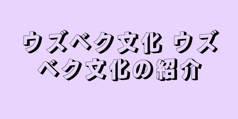 ウズベク文化 ウズベク文化の紹介
