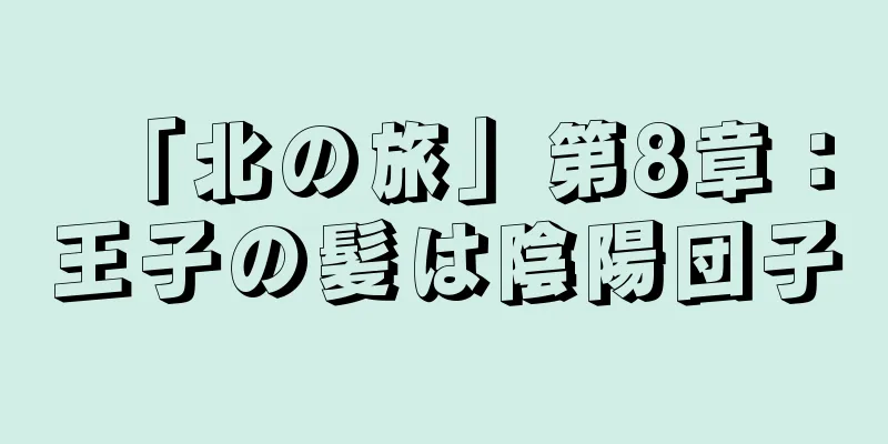 「北の旅」第8章：王子の髪は陰陽団子