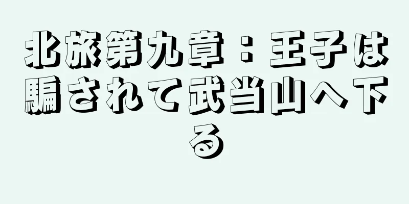 北旅第九章：王子は騙されて武当山へ下る