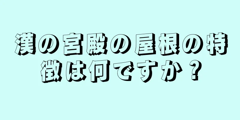 漢の宮殿の屋根の特徴は何ですか？