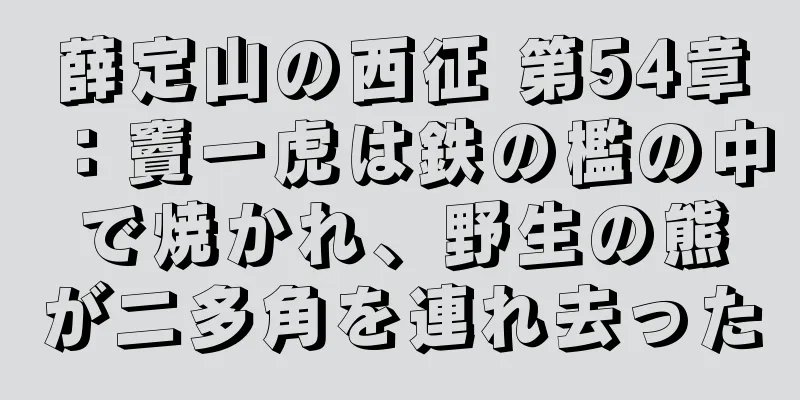 薛定山の西征 第54章：竇一虎は鉄の檻の中で焼かれ、野生の熊が二多角を連れ去った