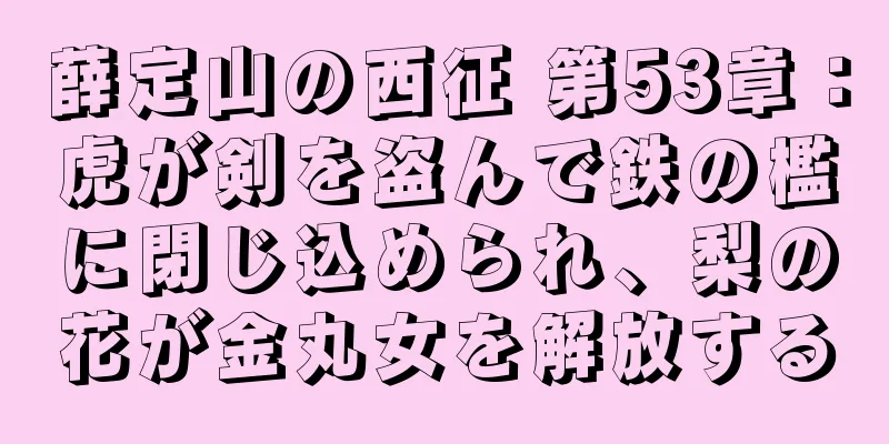 薛定山の西征 第53章：虎が剣を盗んで鉄の檻に閉じ込められ、梨の花が金丸女を解放する