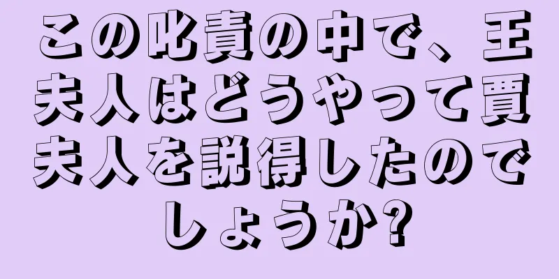 この叱責の中で、王夫人はどうやって賈夫人を説得したのでしょうか?