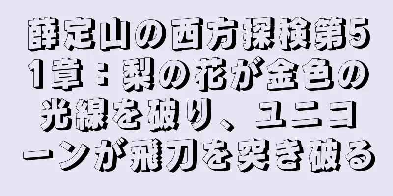 薛定山の西方探検第51章：梨の花が金色の光線を破り、ユニコーンが飛刀を突き破る